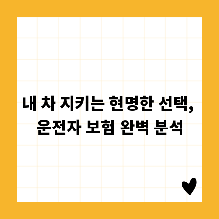 내 차 지키는 현명한 선택, 운전자 보험 완벽 분석