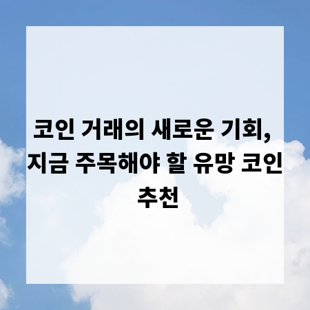 코인 거래의 새로운 기회, 지금 주목해야 할 유망 코인 추천