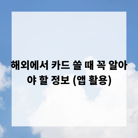 해외에서 카드 쓸 때 꼭 알아야 할 정보 (앱 활용)