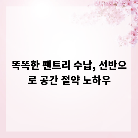 똑똑한 팬트리 수납, 선반으로 공간 절약 노하우