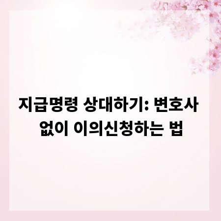 지급명령 상대하기: 변호사 없이 이의신청하는 법