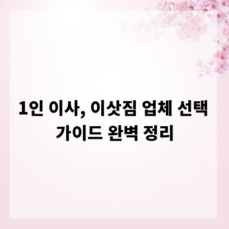 1인 이사, 이삿짐 업체 선택 가이드 완벽 정리