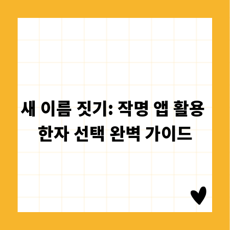 새 이름 짓기: 작명 앱 활용 한자 선택 완벽 가이드