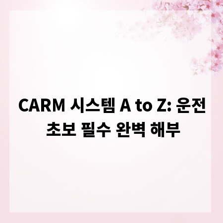CARM 시스템 A to Z: 운전 초보 필수 완벽 해부