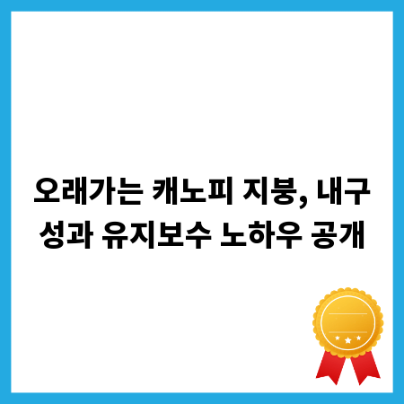 오래가는 캐노피 지붕, 내구성과 유지보수 노하우 공개