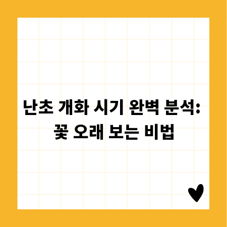 난초 개화 시기 완벽 분석: 꽃 오래 보는 비법