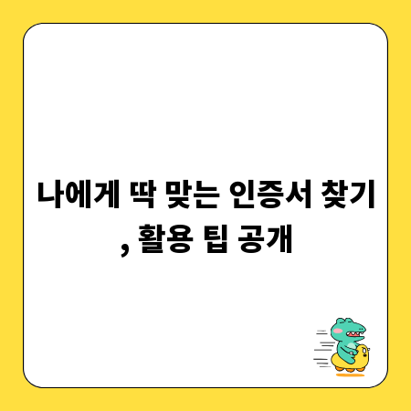 나에게 딱 맞는 인증서 찾기, 활용 팁 공개