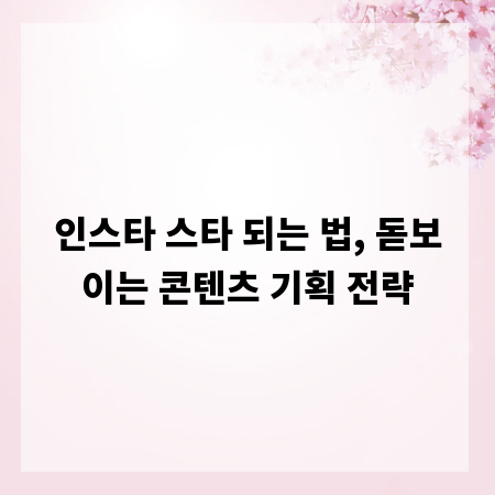 인스타 스타 되는 법, 돋보이는 콘텐츠 기획 전략