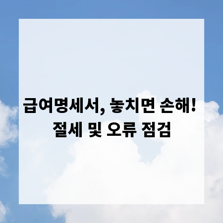 급여명세서, 놓치면 손해! 절세 및 오류 점검
