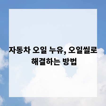 자동차 오일 누유, 오일씰로 해결하는 방법