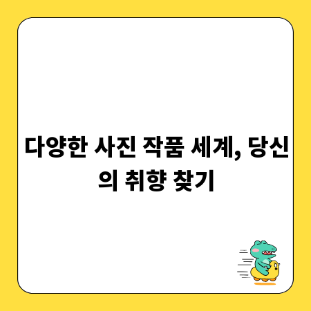 다양한 사진 작품 세계, 당신의 취향 찾기