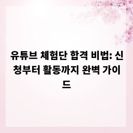 유튜브 체험단 합격 비법: 신청부터 활동까지 완벽 가이드