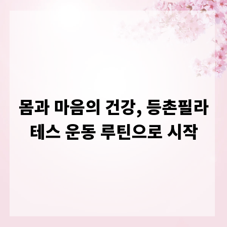 몸과 마음의 건강, 등촌필라테스 운동 루틴으로 시작