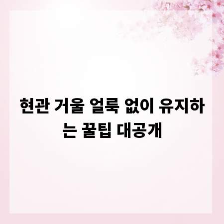 현관 거울 얼룩 없이 유지하는 꿀팁 대공개