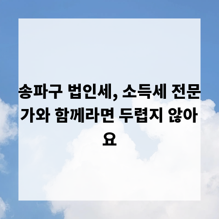 송파구 법인세, 소득세 전문가와 함께라면 두렵지 않아요