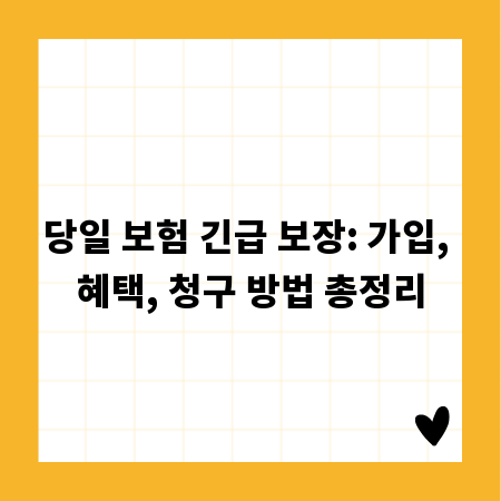 당일 보험 긴급 보장: 가입, 혜택, 청구 방법 총정리