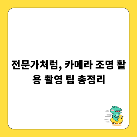 전문가처럼, 카메라 조명 활용 촬영 팁 총정리
