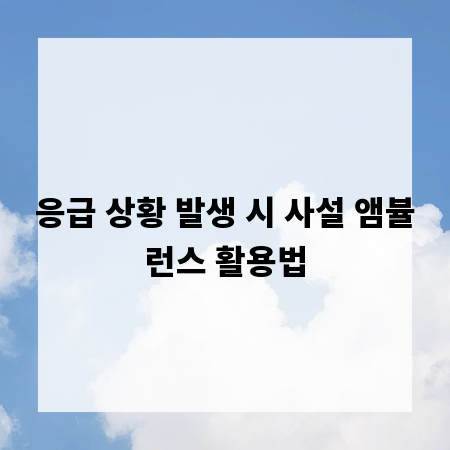 응급 상황 발생 시 사설 앰뷸런스 활용법