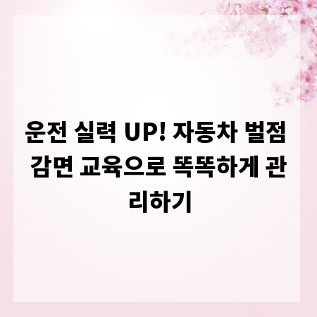 운전 실력 UP! 자동차 벌점 감면 교육으로 똑똑하게 관리하기