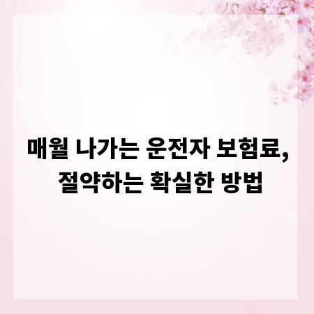 매월 나가는 운전자 보험료, 절약하는 확실한 방법