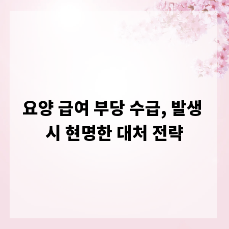 요양 급여 부당 수급, 발생 시 현명한 대처 전략