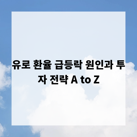유로 환율 급등락 원인과 투자 전략 A to Z