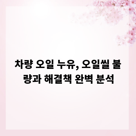 차량 오일 누유, 오일씰 불량과 해결책 완벽 분석