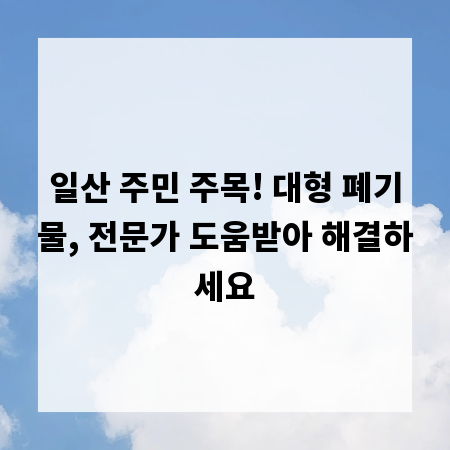 일산 주민 주목! 대형 폐기물, 전문가 도움받아 해결하세요