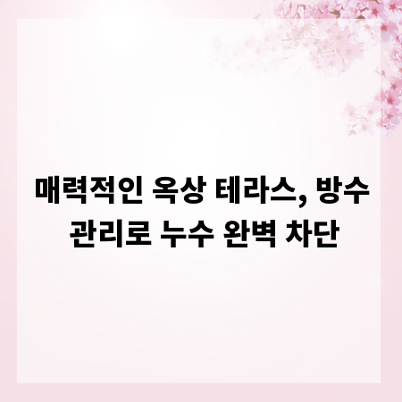 매력적인 옥상 테라스, 방수 관리로 누수 완벽 차단