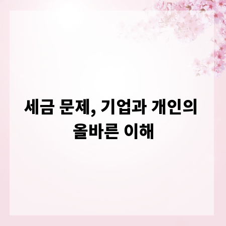 세금 문제, 기업과 개인의 올바른 이해