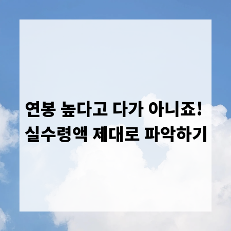 연봉 높다고 다가 아니죠! 실수령액 제대로 파악하기