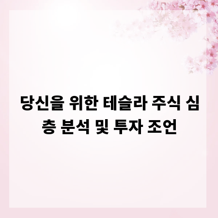당신을 위한 테슬라 주식 심층 분석 및 투자 조언