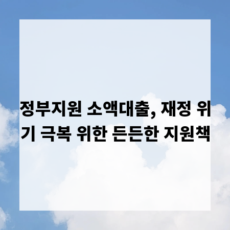 정부지원 소액대출, 재정 위기 극복 위한 든든한 지원책