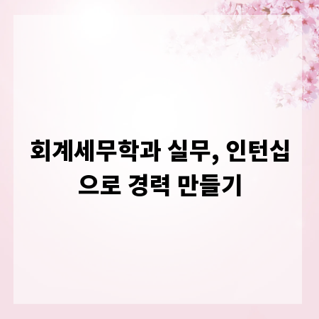 회계세무학과 실무, 인턴십으로 경력 만들기