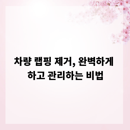 차량 랩핑 제거, 완벽하게 하고 관리하는 비법