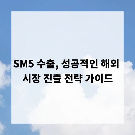 SM5 수출, 성공적인 해외 시장 진출 전략 가이드