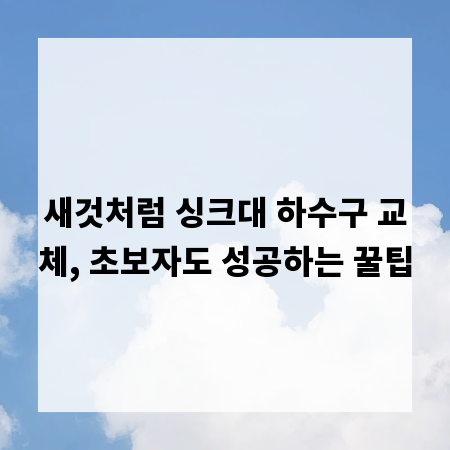 새것처럼 싱크대 하수구 교체, 초보자도 성공하는 꿀팁