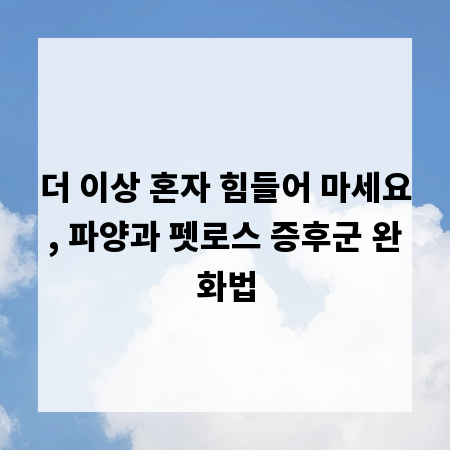 더 이상 혼자 힘들어 마세요, 파양과 펫로스 증후군 완화법