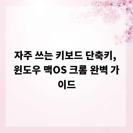 자주 쓰는 키보드 단축키, 윈도우 맥OS 크롬 완벽 가이드