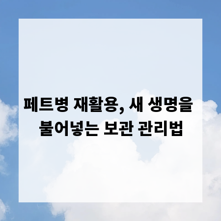 페트병 재활용, 새 생명을 불어넣는 보관 관리법