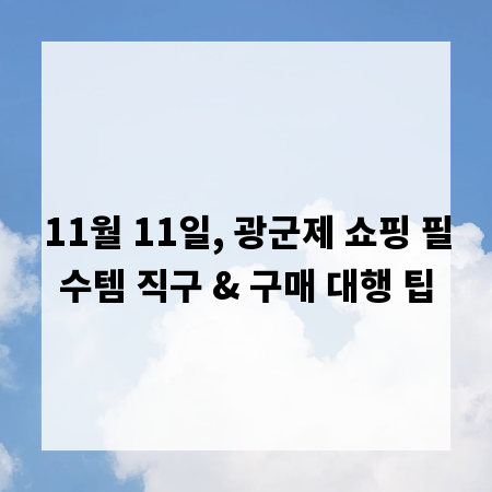 11월 11일, 광군제 쇼핑 필수템 직구 & 구매 대행 팁