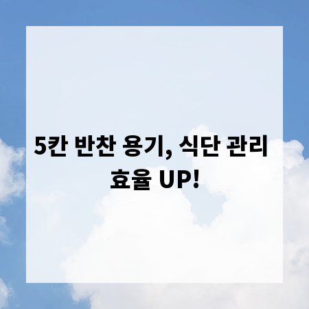 5칸 반찬 용기, 식단 관리 효율 UP!