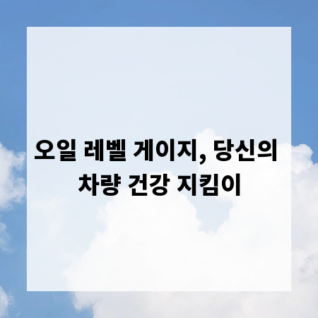 오일 레벨 게이지, 당신의 차량 건강 지킴이