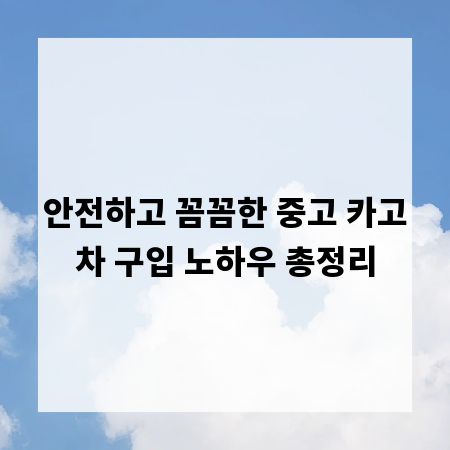 안전하고 꼼꼼한 중고 카고차 구입 노하우 총정리