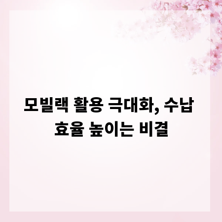 모빌랙 활용 극대화, 수납 효율 높이는 비결