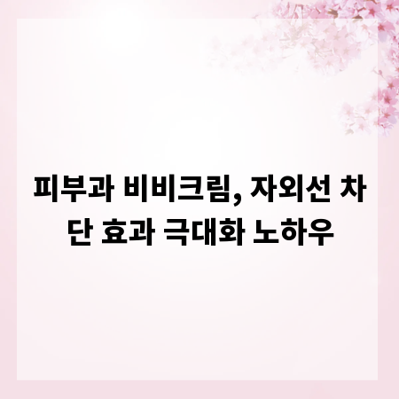 피부과 비비크림, 자외선 차단 효과 극대화 노하우