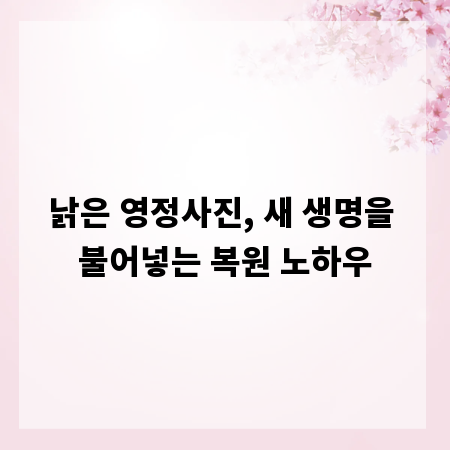 낡은 영정사진, 새 생명을 불어넣는 복원 노하우