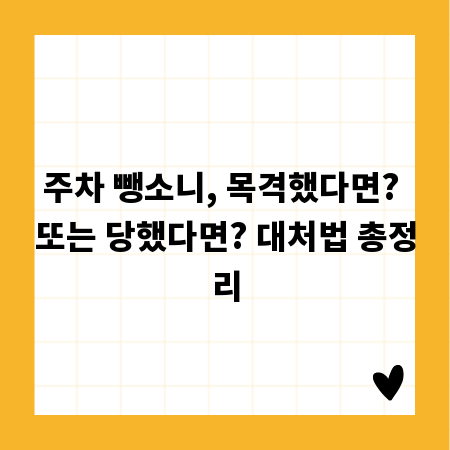 주차 뺑소니, 목격했다면? 또는 당했다면? 대처법 총정리