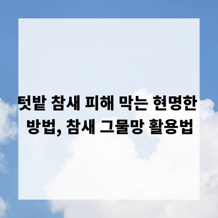 텃밭 참새 피해 막는 현명한 방법, 참새 그물망 활용법