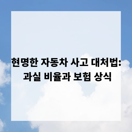 현명한 자동차 사고 대처법: 과실 비율과 보험 상식